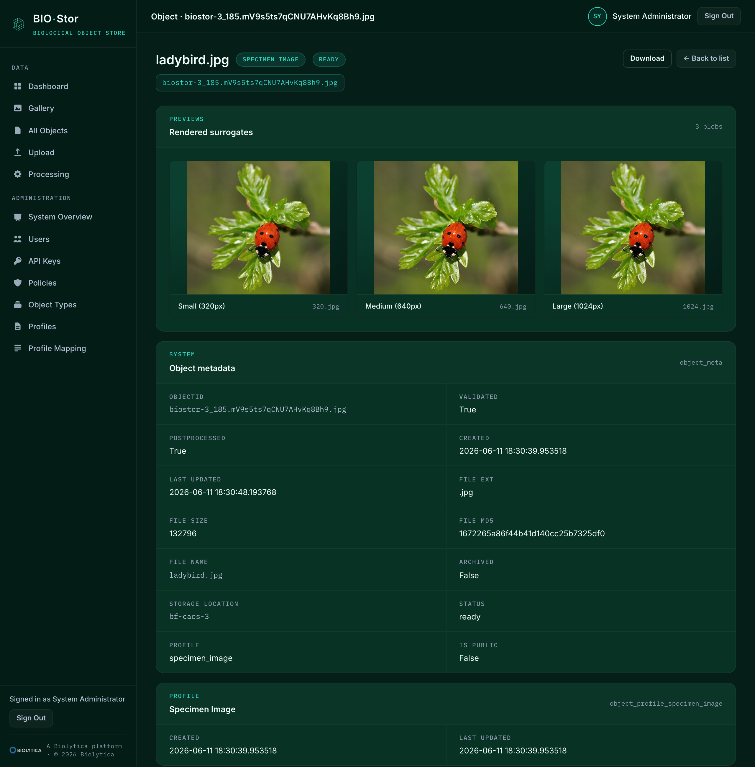 BIO·Stor object detail page showing rendered surrogate thumbnails alongside system, profile, and format metadata for a single object